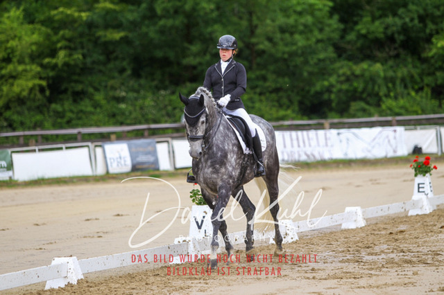 DKP47303 | Turniersportfotografie; Pferdefotografie; Dressurfotografie