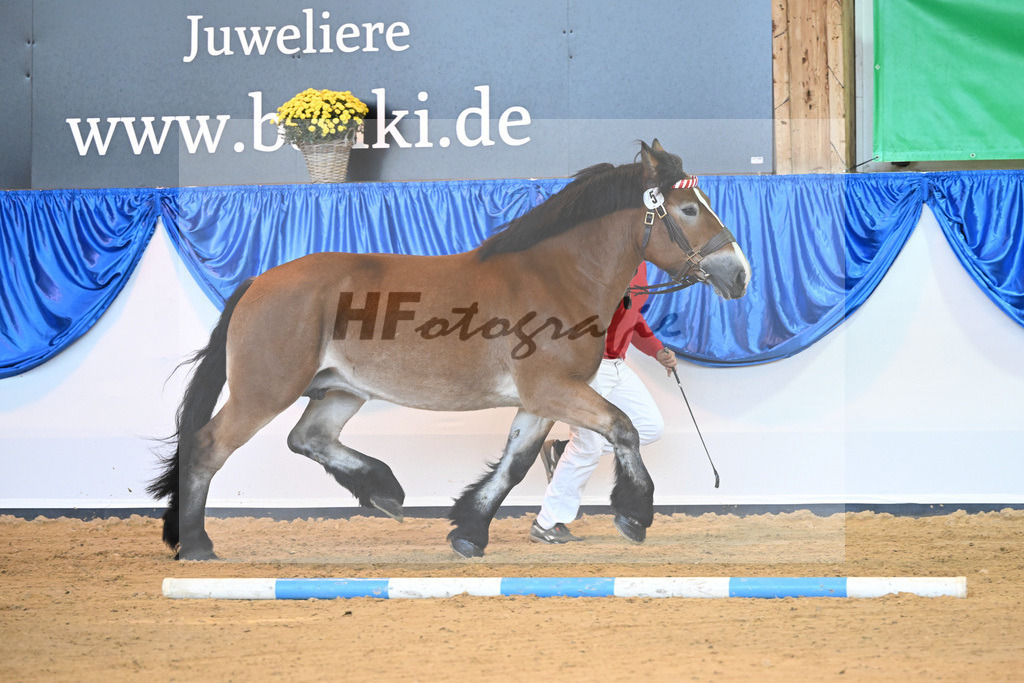 Kat-Nr. 5 Lyanna_Mueller_53220924 | hf-fotografie - Realizzato con Pictrs.com