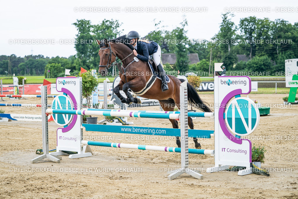 DSC04604 | Pferdegrafie