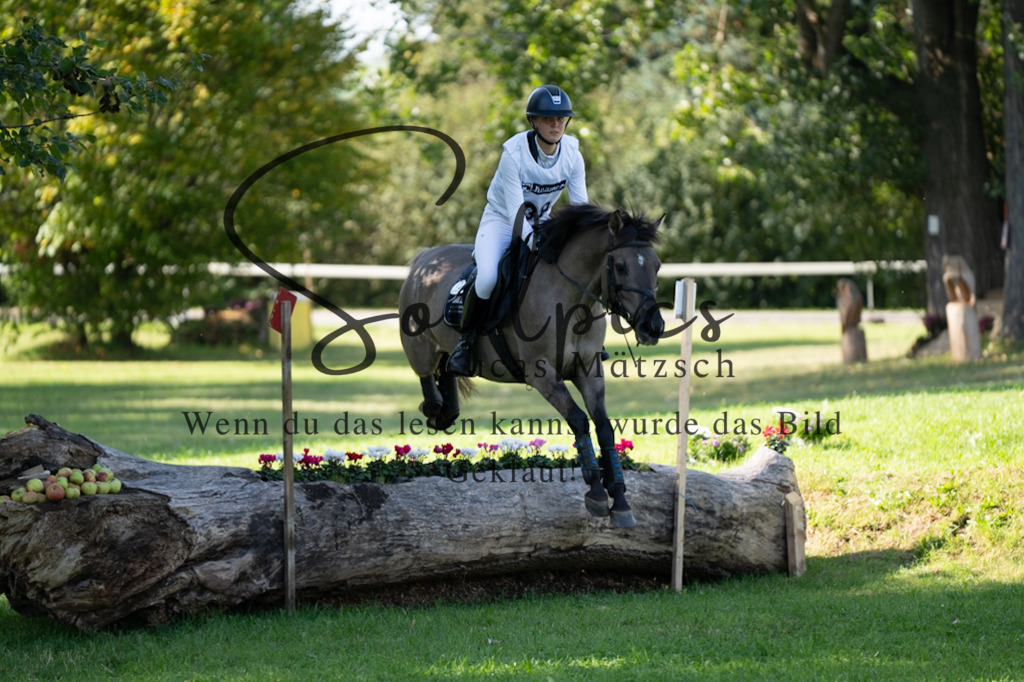 A7V03393 | Pferdefotograf