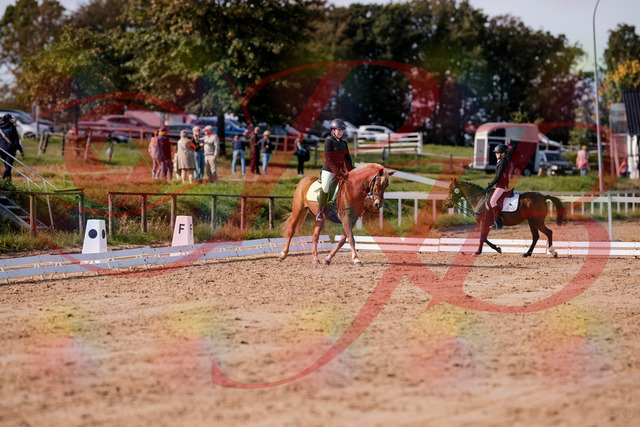 2026_10_03_Siefer-Hof_122029_Z81_20654206 | Professionelle Reitsport-, Turnier- und Eventfotografie von Robert Broda. Galerien mit ausgewählten und bearbeiteten Bildern direkt online ansehen und bestellen.
