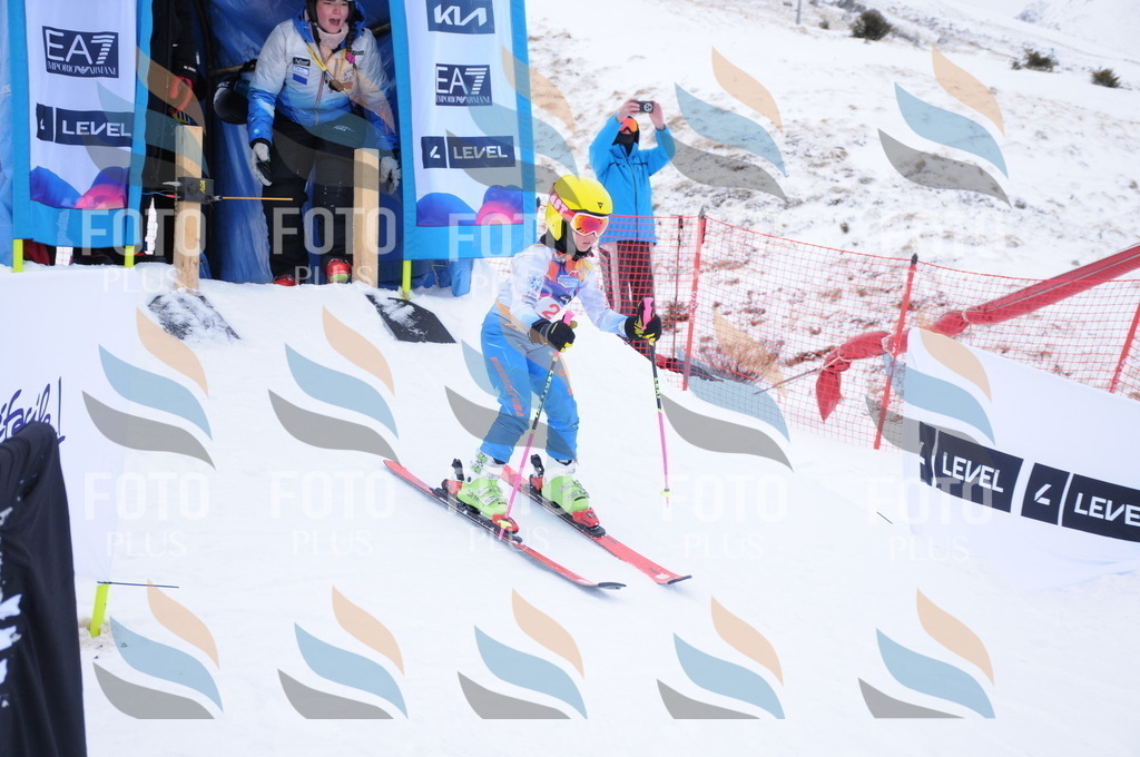 DSC_7731 | holidayphoto