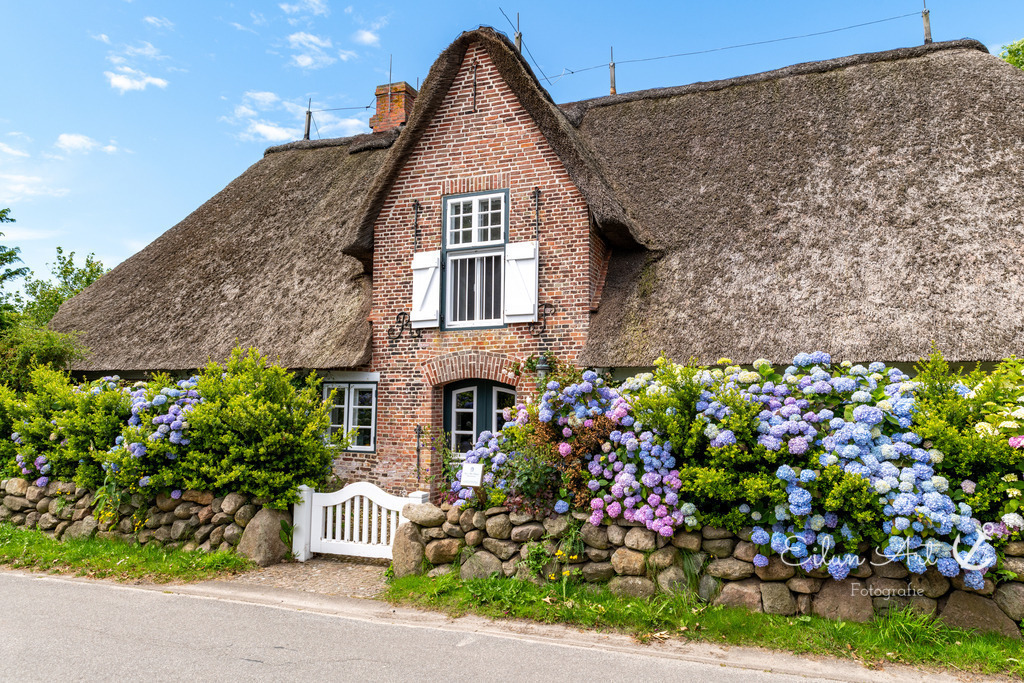 20240616-EAF_2159 | Eilun-Art-Fotografie Levke Martens, ihre Fotografin für Immobilien- und Landschaftsfotografie auf Föhr, Föhrer Motive als Poster, Leinwand, hinter Acrylglas oder stelle dir deinen eigenen Monatskalender zusammen, mit nur einem Klick