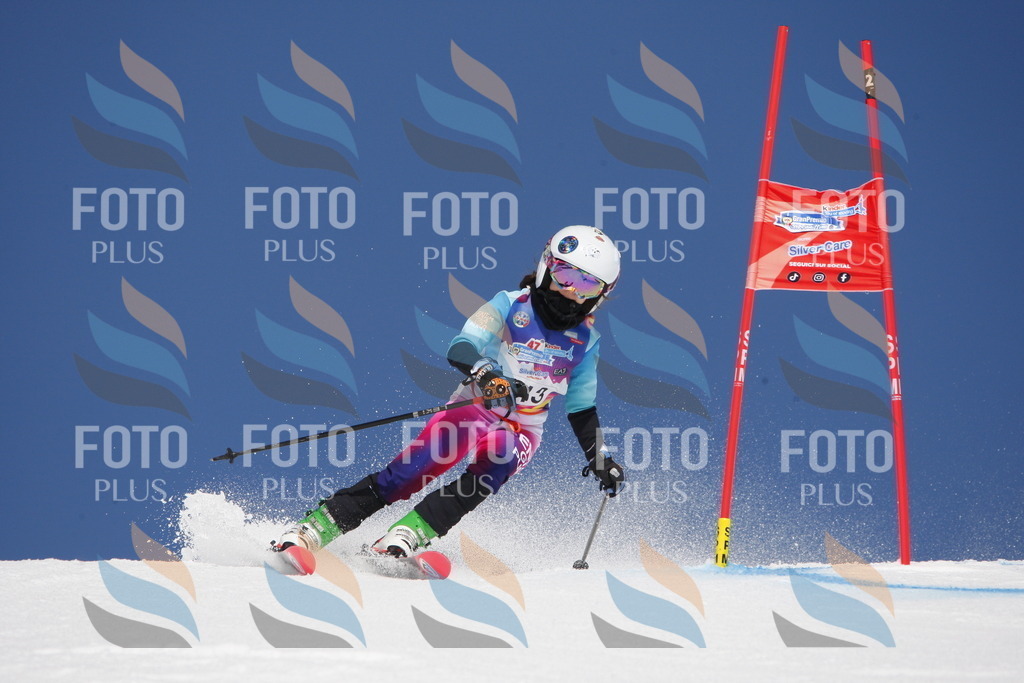 _W1G1689 | holidayphoto