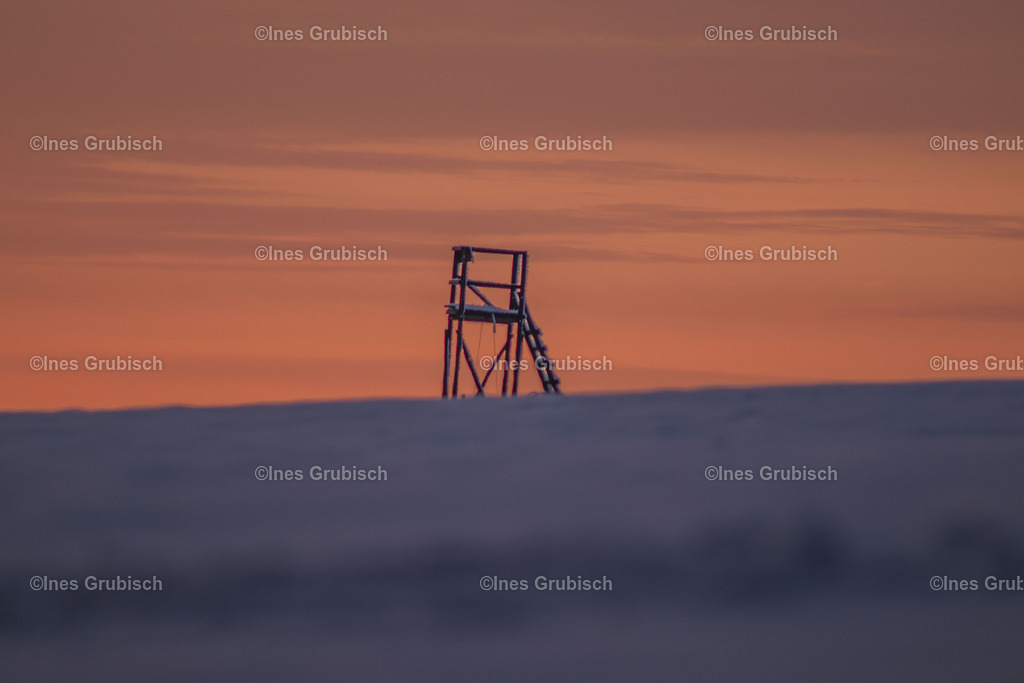 Hochsitz im Sonnenuntergang | Lila Lubbenbomm - Artwork by Ines Grubisch - Realisiert mit Pictrs.com