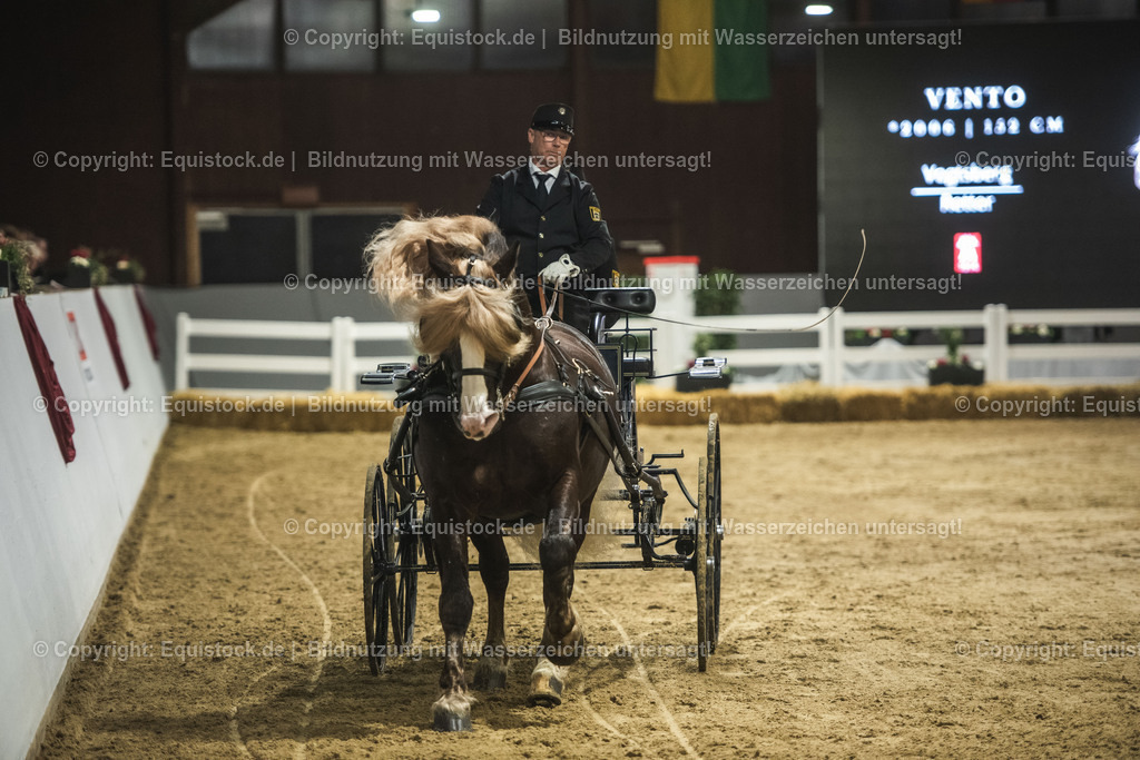 20240302_Hengstvorstellung_Marbach_TOMsPiC_0606 | equistock