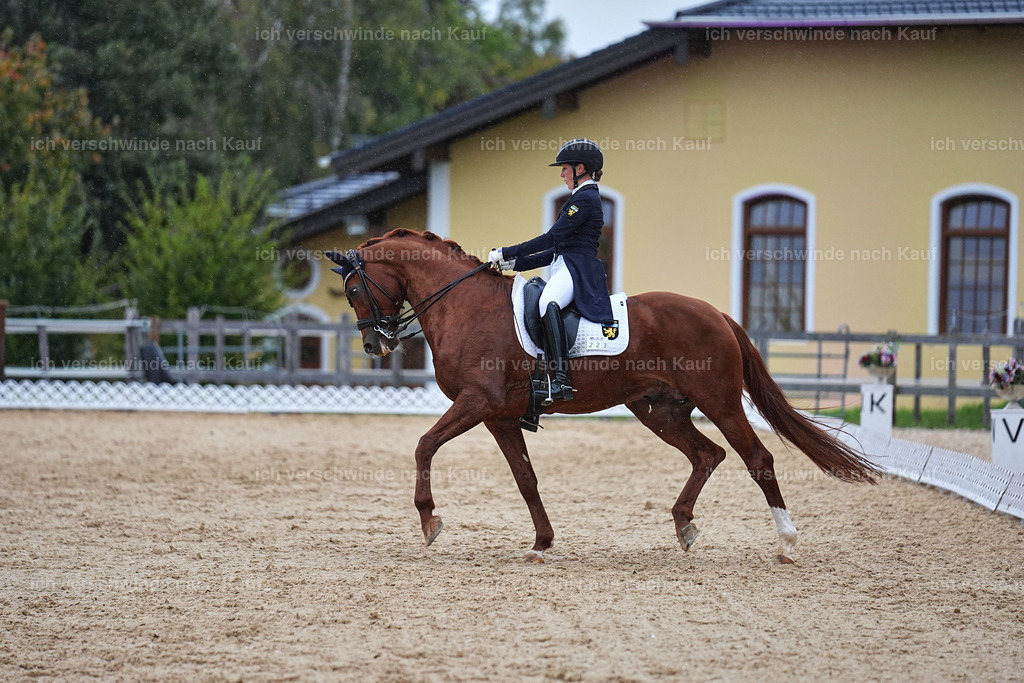 8_1-223-Klasse S_  -Marixx-4287 | working equitationturnier fotograf videograf stoibphotography marixx film working equitation deutschland reitsport turnierfotografie eventfotografie equestrian events