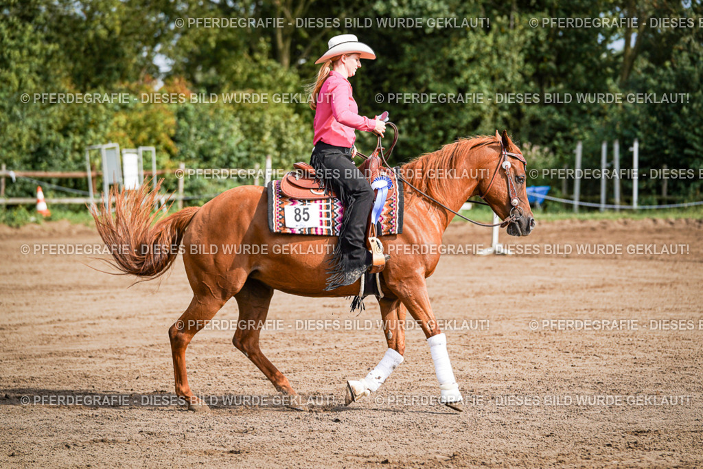 DSC09520 | Pferdegrafie