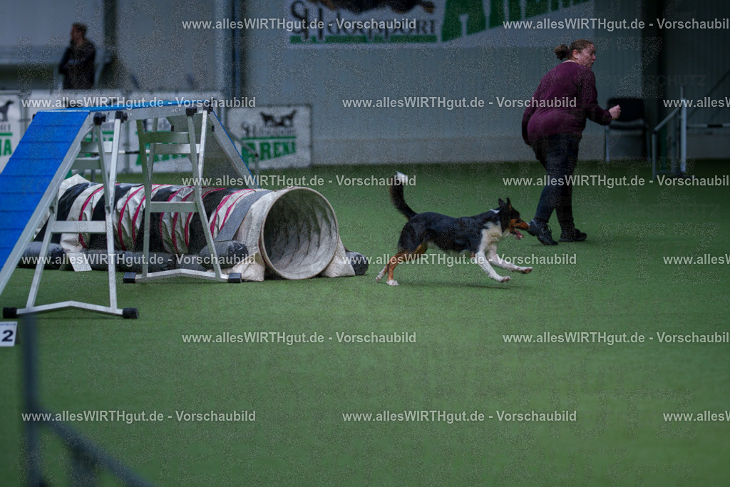 @allesWIRTHgut_Tierfotografie - www.allesWIRTHgut.de - 2604261014-7R508796 | Professionelle Tierfotografie in Mönchengladbach von Daniel Wirth (allesWIRTHgut). Liebevolle & natürliche Bilder von Hunden & Katzen für unvergessliche Erinnerungen.