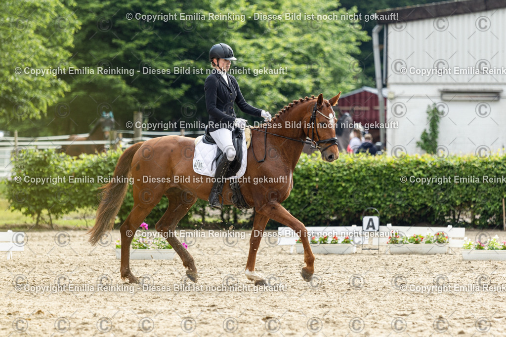 CL5A4538 | Emilia Reinking Fotografie - Realisiert mit Pictrs.com