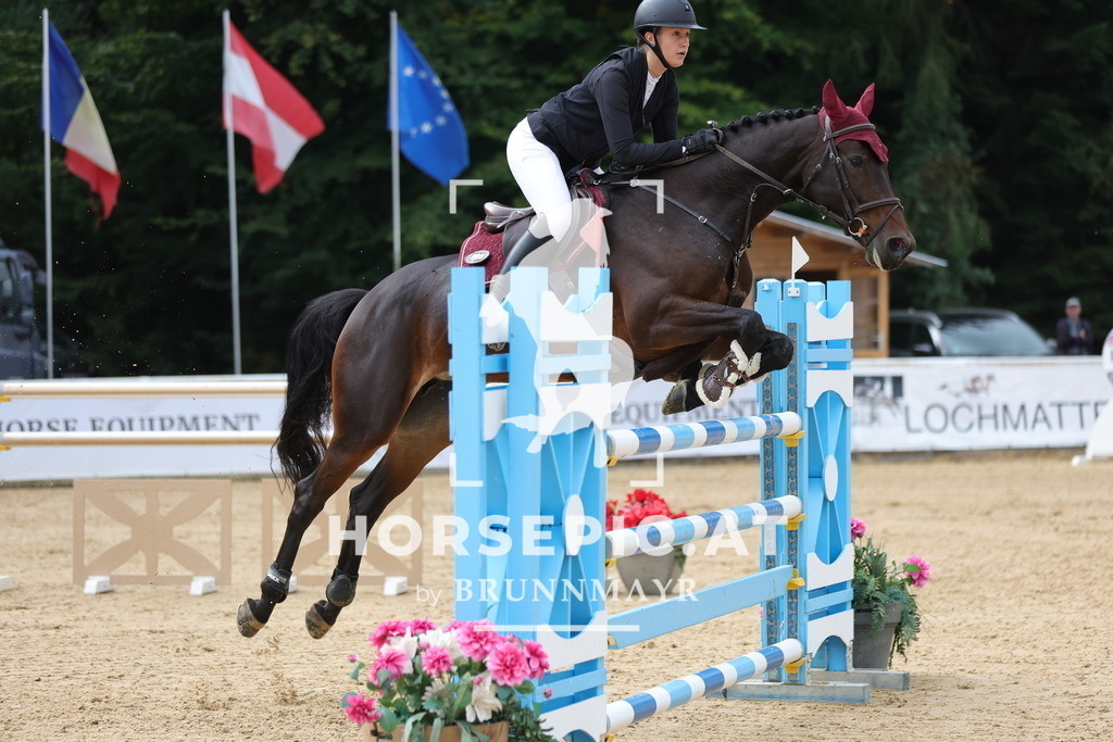 0P6A6655 | Willkommen bei Brunnmayr - Design & Fotografie – Ihrem Spezialisten für Reitturniere und Pferdeveranstaltungen in Oberösterreich, Salzburg und Bayern! Seit über 17 Jahren sind wir leidenschaftlich dabei.