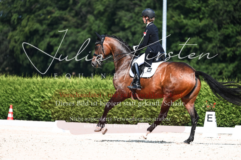 DSC_3080 | Pferde- und Turnierfotografie in Westsachsen. Pferdeportraits, Auftragszeichnungen und intuitive Kunst.