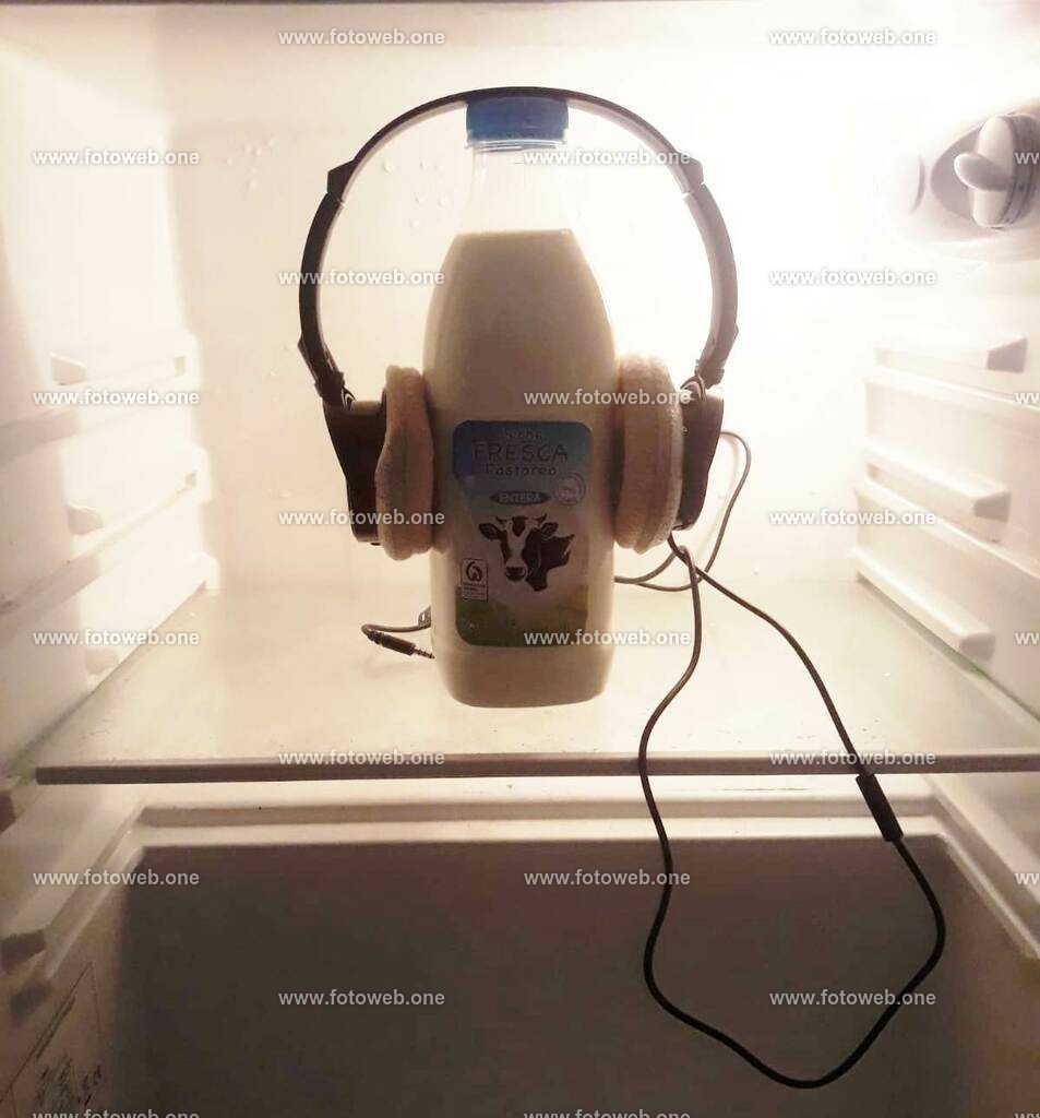 Die gute alte Milch | Kritiker machen sich sorgen, das die Milch in vielen Kühlschränken nicht den Richtigen Platz, und somit schneller verderben könnte. - Realisiert mit Pictrs.com