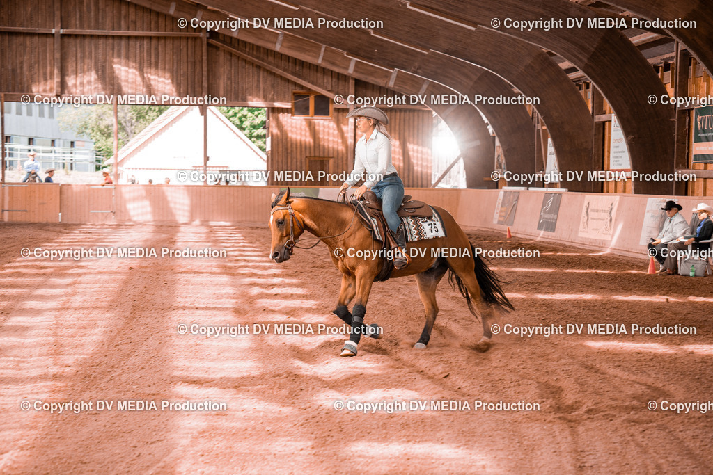 NE300718 | dv-media-shop - Realisiert mit Pictrs.com