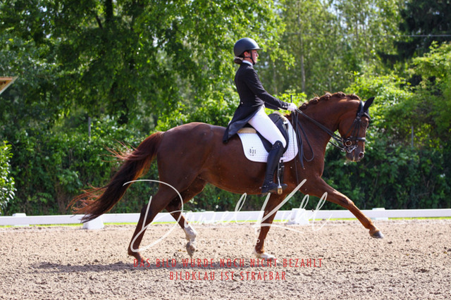 DKP41423 | Turnierfotos kaufen im Webshop von Daniel Kuhl Photography – entdecke professionelle Reitsportfotos aus Turnieren & Events. Hochwertige Turnierbilder online bestellen & sichern. Jetzt Fotos von Reitsportturnieren kaufen!