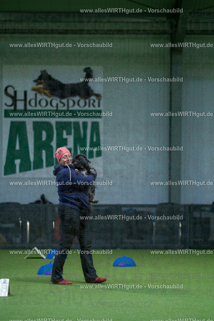 7R501121 | Professionelle Tierfotografie in Mönchengladbach von Daniel Wirth (allesWIRTHgut). Liebevolle & natürliche Bilder von Hunden & Katzen für unvergessliche Erinnerungen.