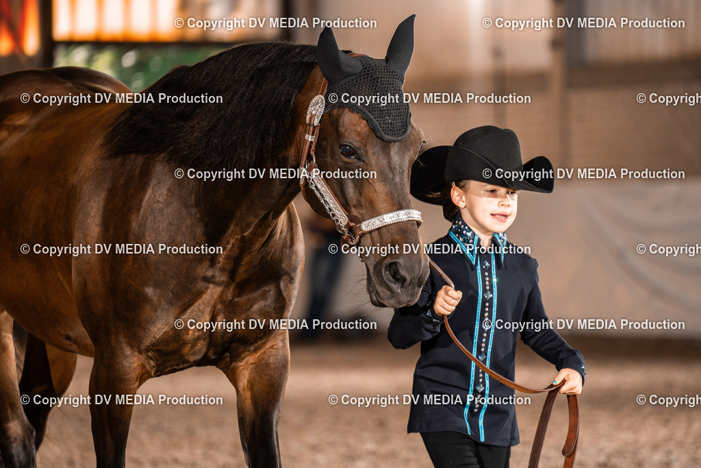 ZH100040 | dv-media-shop - Realisiert mit Pictrs.com