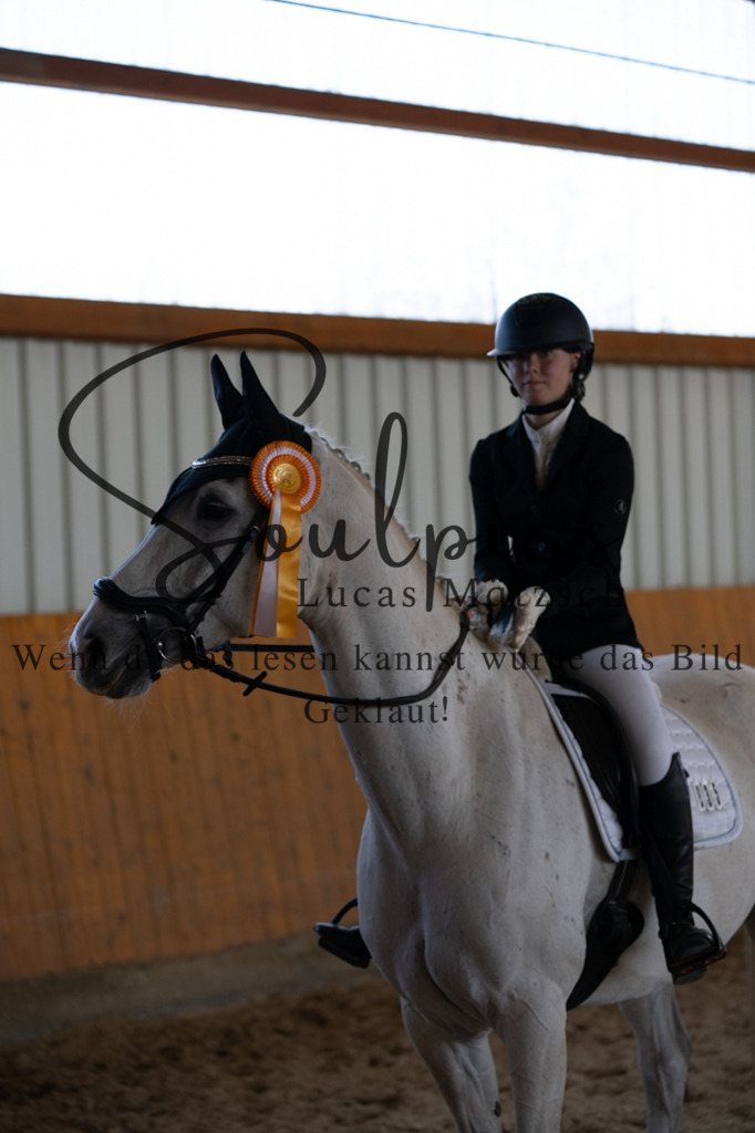 A7V02002 | Pferdefotograf