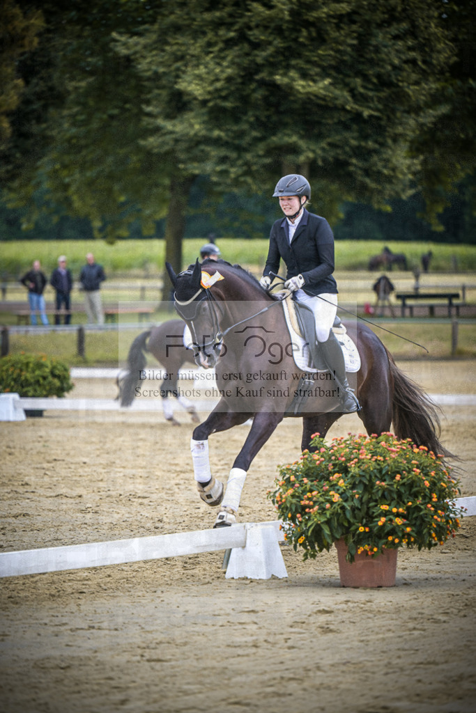 DOS_5043 | Entdecke hochwertige Reitturnierfotos von Foto Oger. Professionell, emotional und authentisch – jetzt Lieblingsmomente im Shop bestellen.Deutschlandweite Turnierfotografie. - Realisiert mit Pictrs.com
