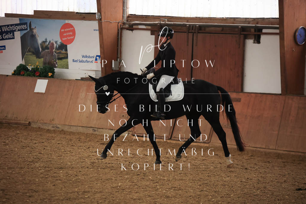 IMGT7081 | pl-fotografie