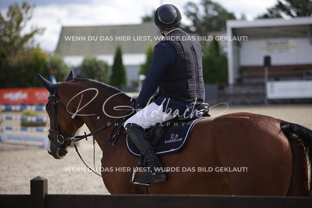 1J2A8177Niclas Aromaa_ Neyla 10_ Kn786_ Havekost | Foto- und Videografie für alles rund ums Pferd. Hochwertige Bilder und Videos vom Spring- und Dressurreiten, Voltigieren & mehr. Jetzt aktuelle Veranstaltungen und Preise im Shop ansehen. - Realisiert mit Pictrs.com