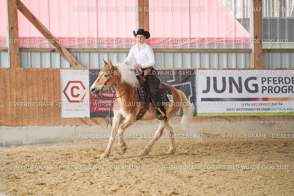 DSC01223 | Pferdegrafie