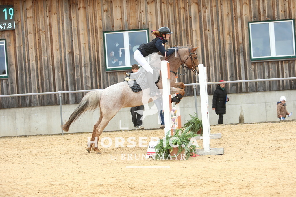 DL2Q1901 | Willkommen bei Brunnmayr - Design & Fotografie – Ihrem Spezialisten für Reitturniere und Pferdeveranstaltungen in Oberösterreich, Salzburg und Bayern! Seit über 17 Jahren sind wir leidenschaftlich dabei.
