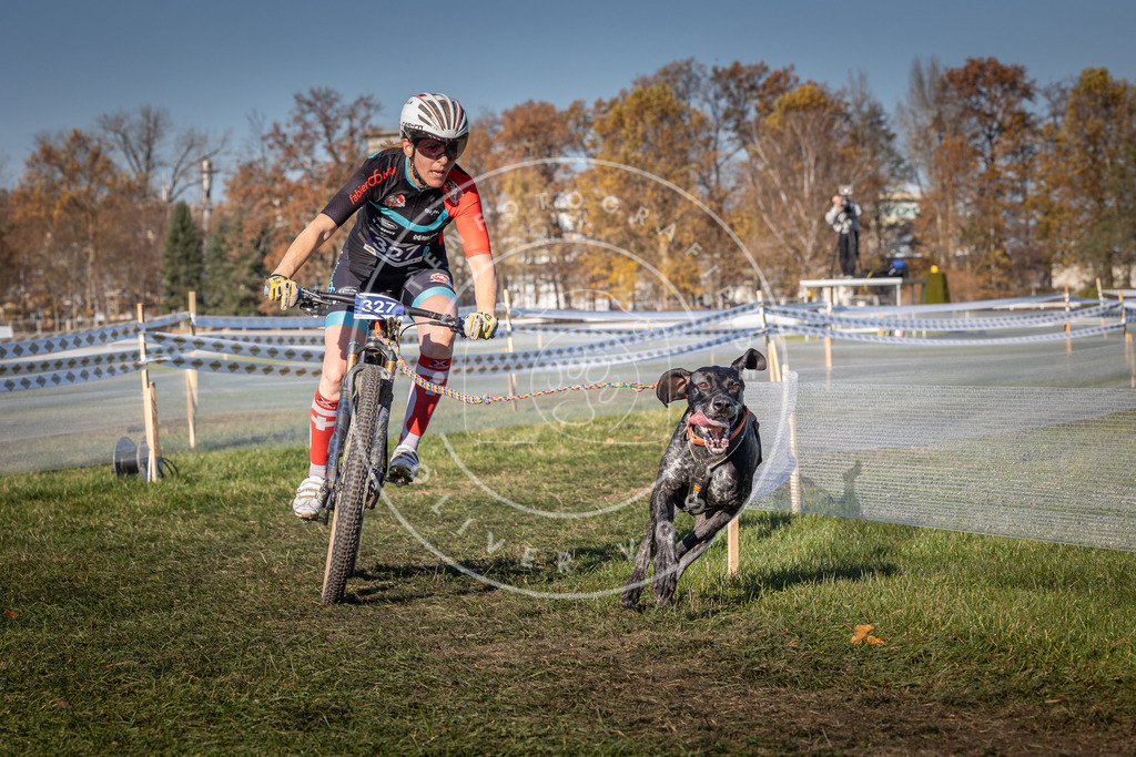 CaniXpix_0L8A5774 | Hundefotografie, Tierfotograf, Pfotenfotografie, Fotoshooting Hund, Hunde Portrait, Hundesport, Hundeportraits, Heideshooting, Hunde, Sportfotograf, Hundefotograf, Turnierhundsport, THS,  - Realisiert mit Pictrs.com
