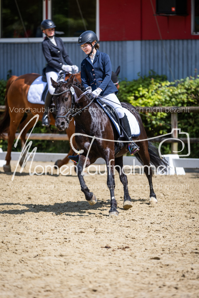 Donop24-EDre-074 | MomenTaufnahmen Pferdesportfotos