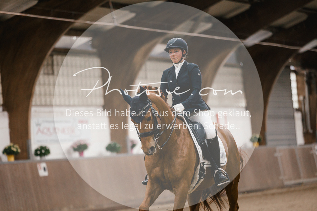 3I6A8899 | Stimmungsvolle Portraits und Reitsportfotografie im Ruhrgebiet und im Münsterland.

Pferdefotografie, Hundefotografie, Tierfotografie, Reportagen, Portraits von Tier und Mensch, Turnierfotografie in Bochum, Recklinghausen, Marl, Haltern am See, Dülmen.. - Realisiert mit Pictrs.com