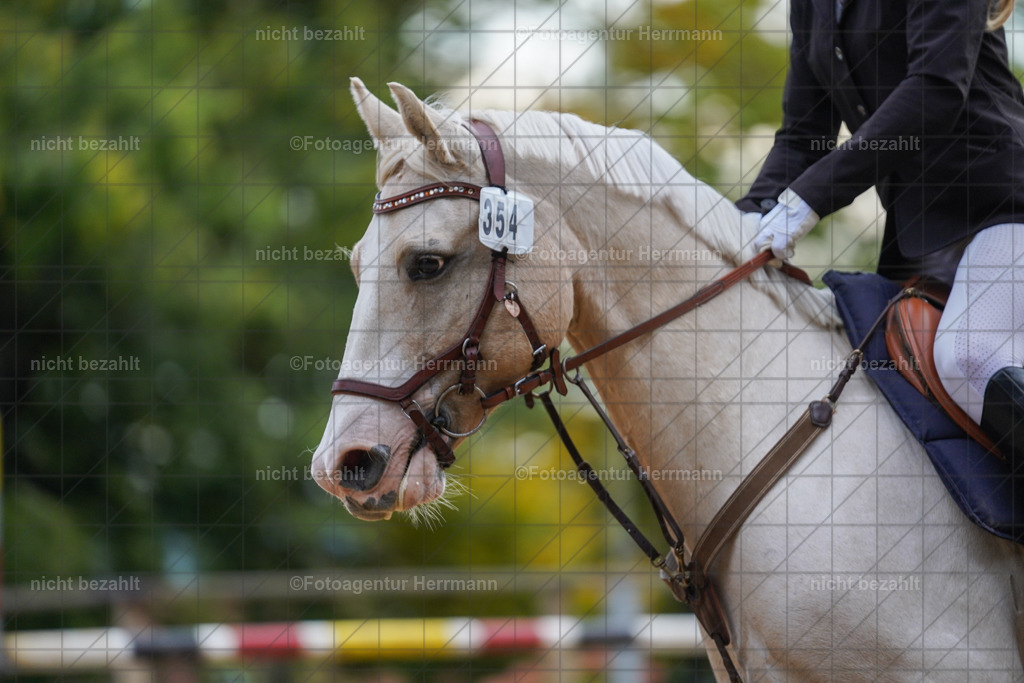 20221009-FAH08313 | Diessen am Ammersee, 2022, Dressur- und Springturnier, Reitsportbilder, Turnierfotografen Bayern, Pferdefotografen, Fotoagentur Herrmann, Turnierbilder