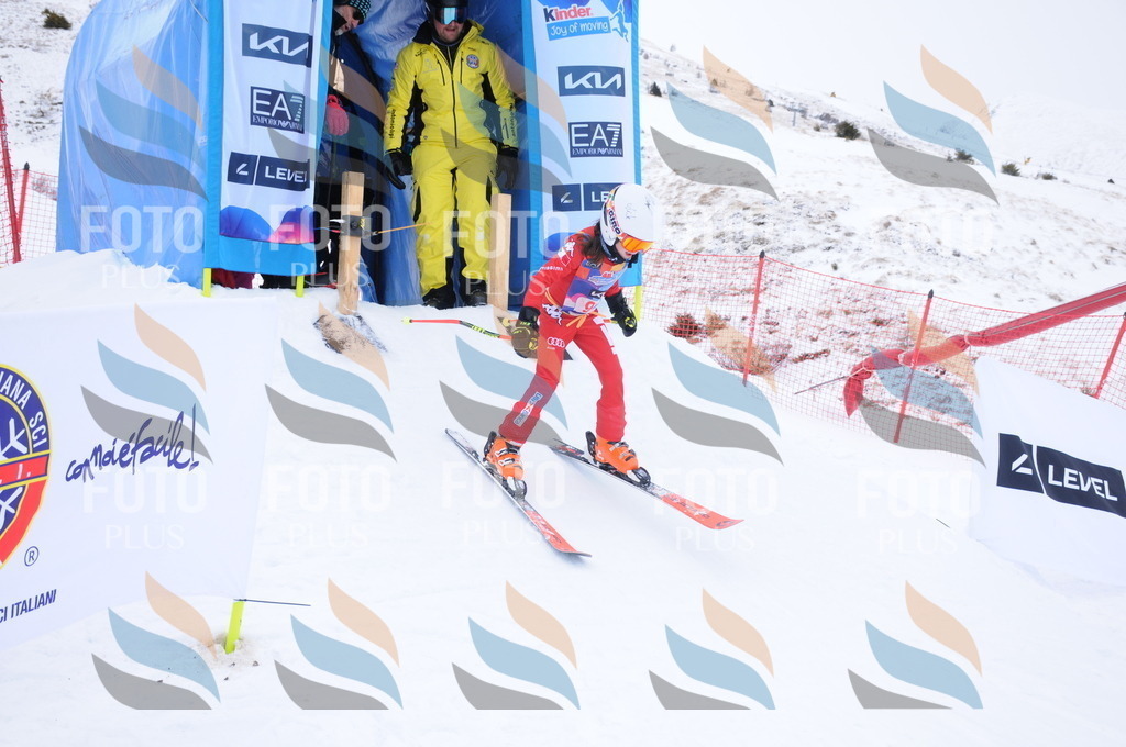 DSC_8301 | holidayphoto