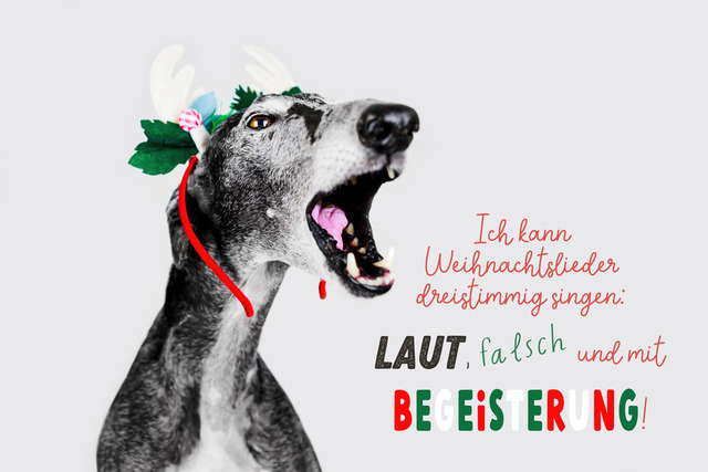 Nico singt! | "Ich kann Weihnachtslieder dreistimmig singen: laut, falsch und mit Begeisterung!"