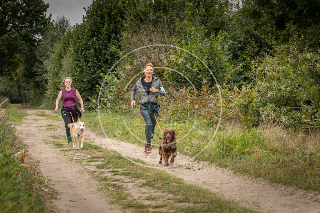 Pfotenfotografie_DV3A6541 | Hundefotografie, Tierfotograf, Pfotenfotografie, Fotoshooting Hund, Hunde Portrait, Hundesport, Hundeportraits, Heideshooting, Hunde, Sportfotograf, Hundefotograf, Turnierhundsport, THS,  - Realisiert mit Pictrs.com