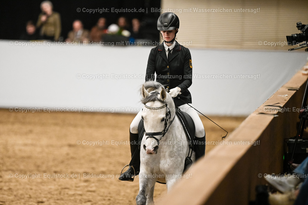 20260307_Hengstvorstellung-Marbach_0426 | equistock