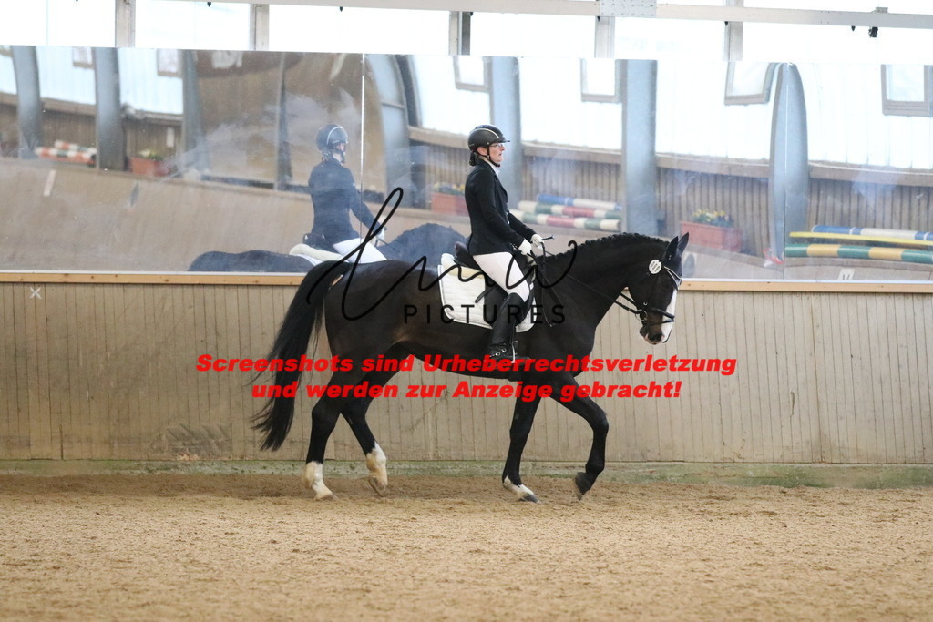 IMG_3986 | lmwpictures - Realisiert mit Pictrs.com