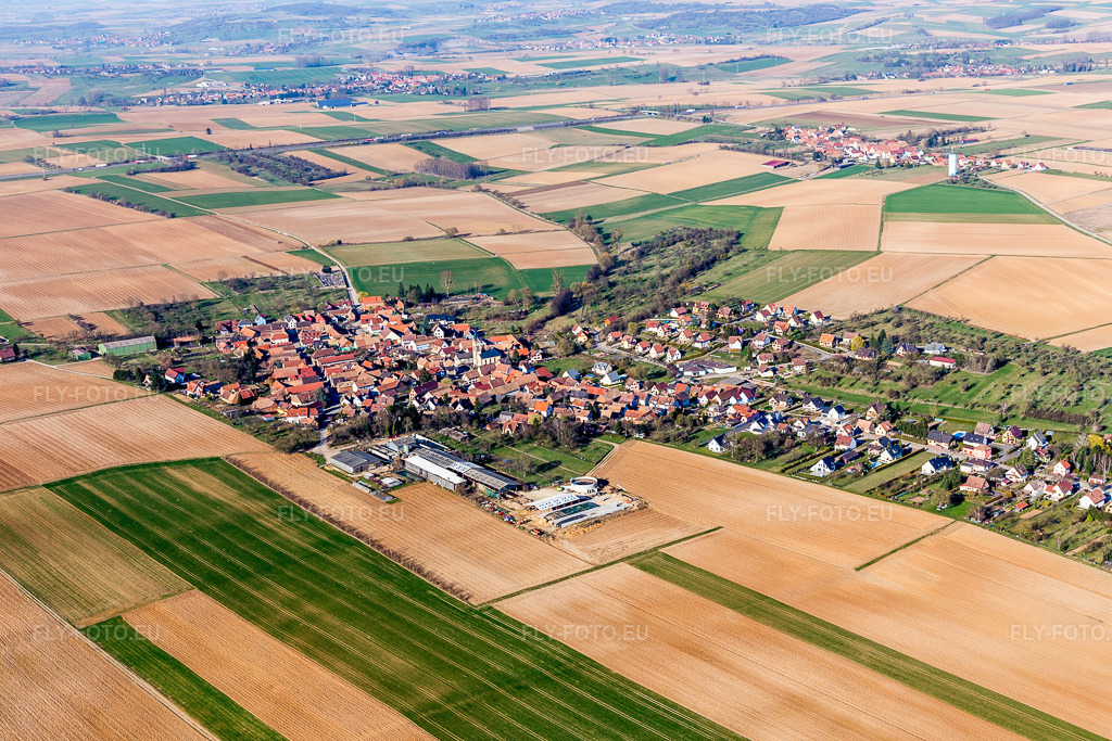 Vue aérienne: Champs agricoles et terres arables à Melsheim dans le département Bas Rhin, France – .Photo: IMG_097571.jpg prise le 16/03/2017 par Werner Riehm/FLY-FOTO.eu – Résolution de l'original: 5472 x 3648 px