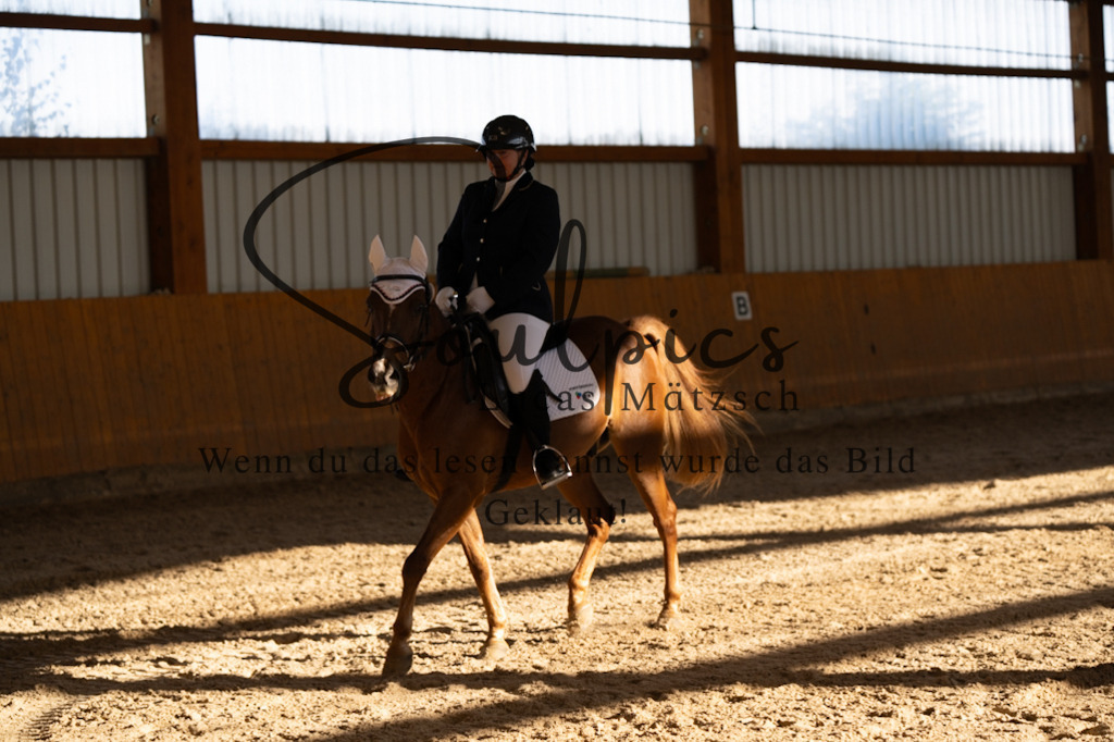 A7V01727 | Turnier/Reitfotograf