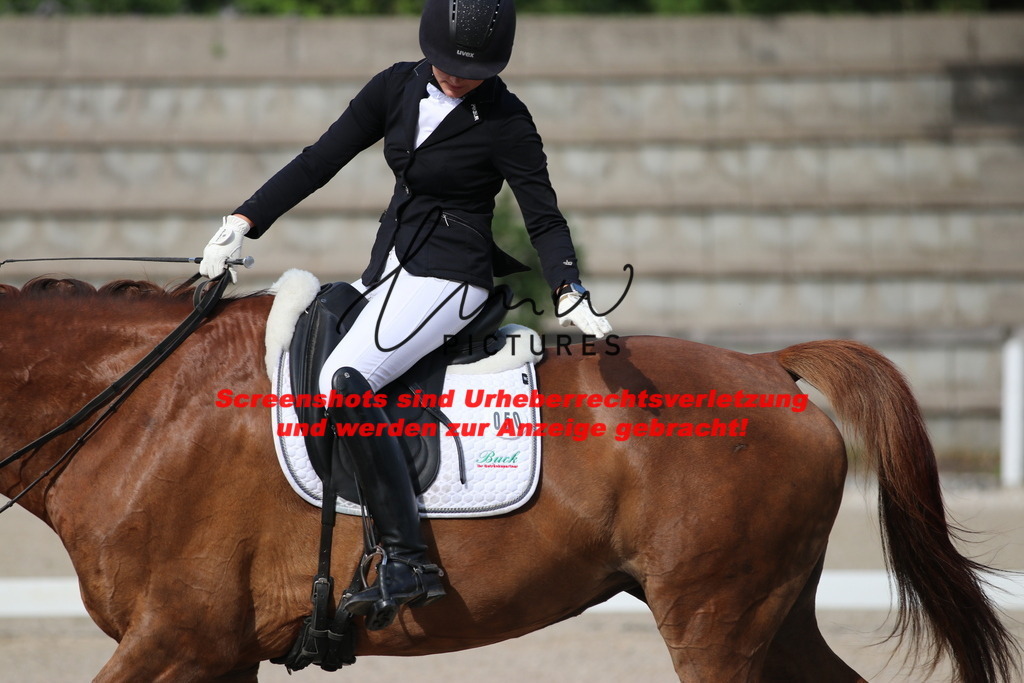 IMG_6316 | lmwpictures - Realisiert mit Pictrs.com