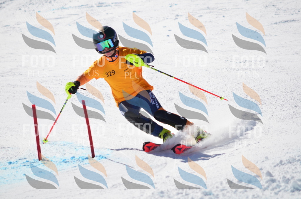 C9661 | holidayphoto