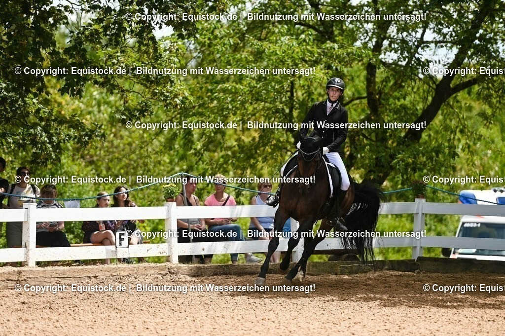20230716_03_Dressurprfg. Kl.L - Tr._0573 | equistock