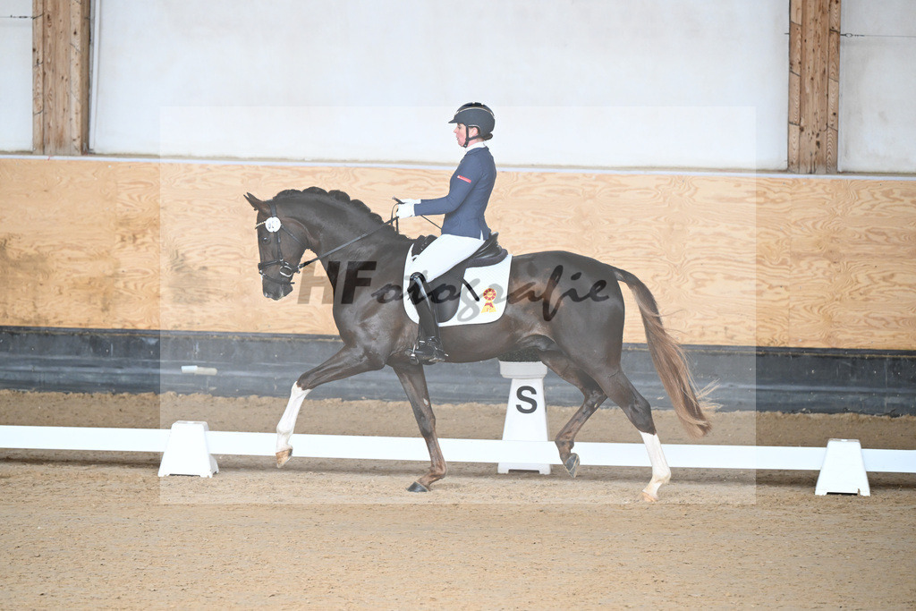 Kat-Nr. 1 Bastiano v. Benicio_Galneder_5240024 | hf-fotografie - Realizzato con Pictrs.com