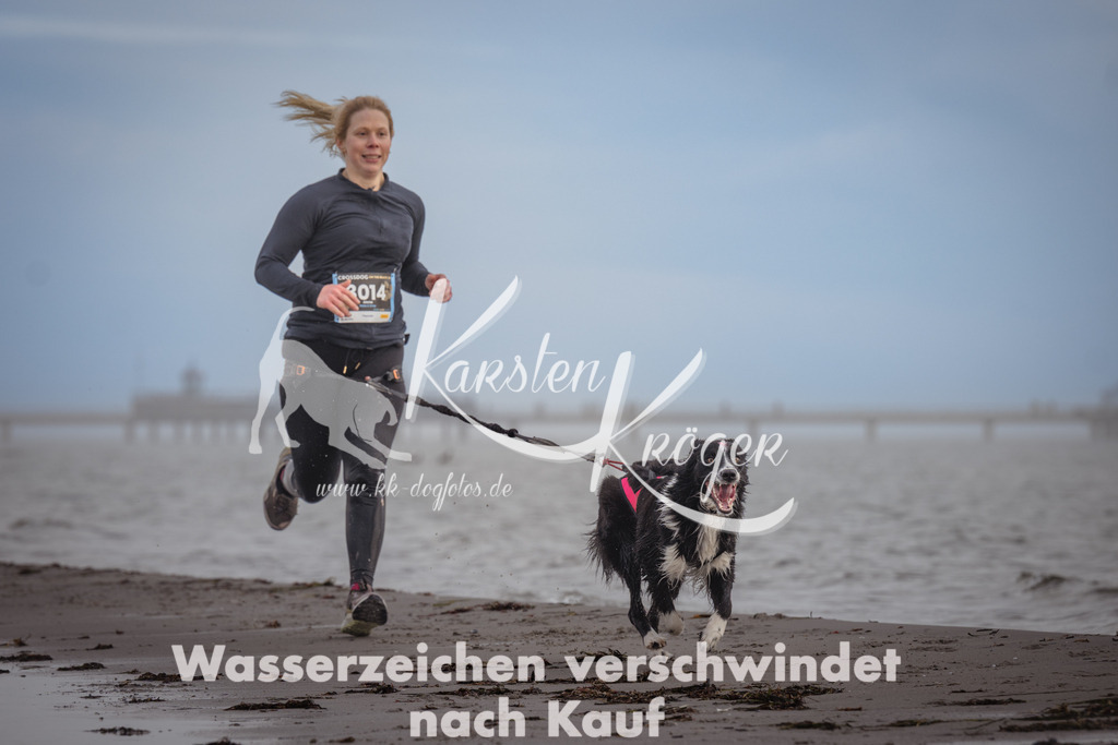 1212_ZZ94888 | kk-dogfotos