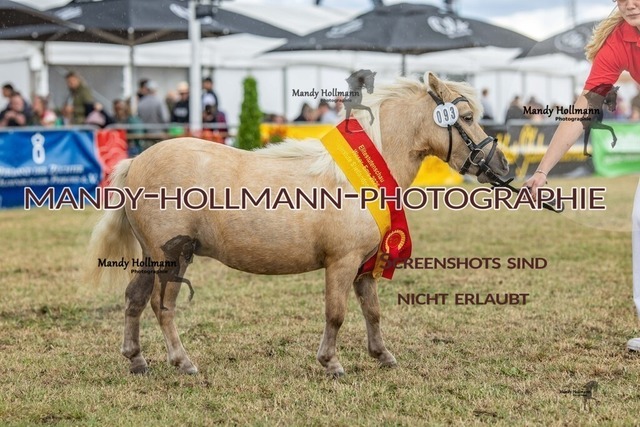 26-8-22 Mini-165 | mandyhollmannphotographie