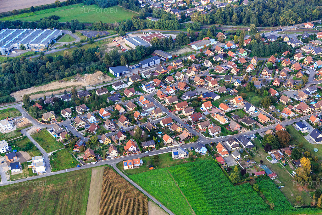 Vue aérienne: Rue de Weitbruch à Bischwiller dans le département Bas Rhin, France.Photo: IMG_074246.jpg prise le 04/10/2014 par Werner Riehm/FLY-FOTO.euRésolution de l'original: 5472 x 3648 px