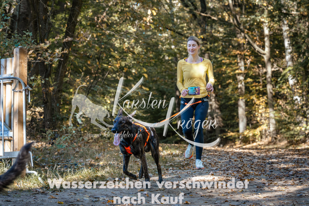 1200_ZZ93968 | kk-dogfotos