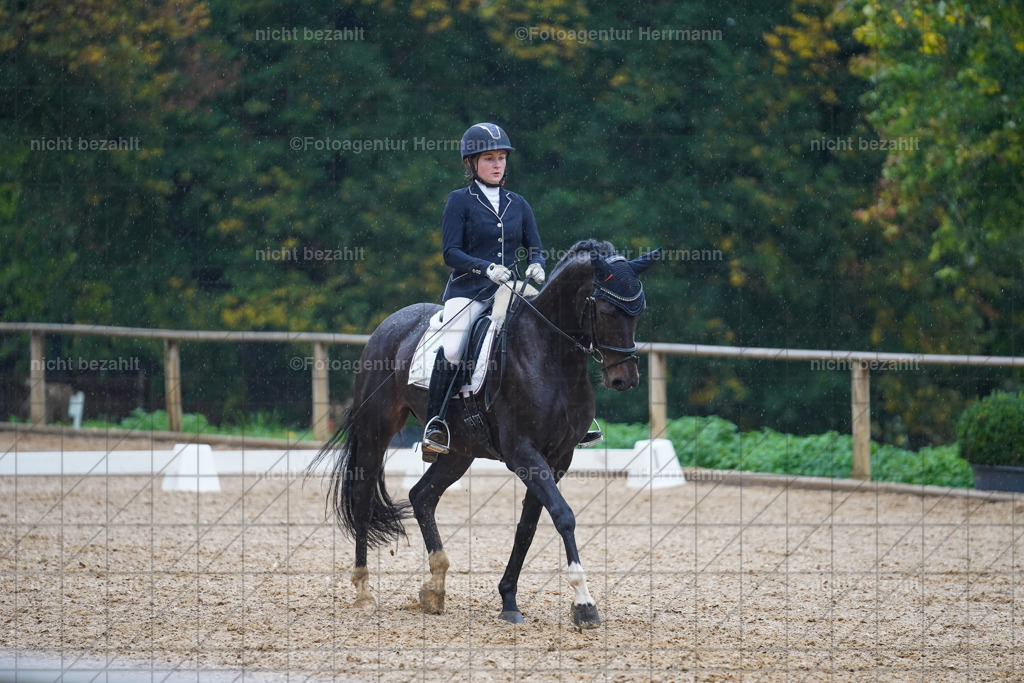 20221008-FAH02148 | Diessen am Ammersee, 2022, Dressur- und Springturnier, Reitsportbilder, Turnierfotografen Bayern, Pferdefotografen, Fotoagentur Herrmann, Turnierbilder