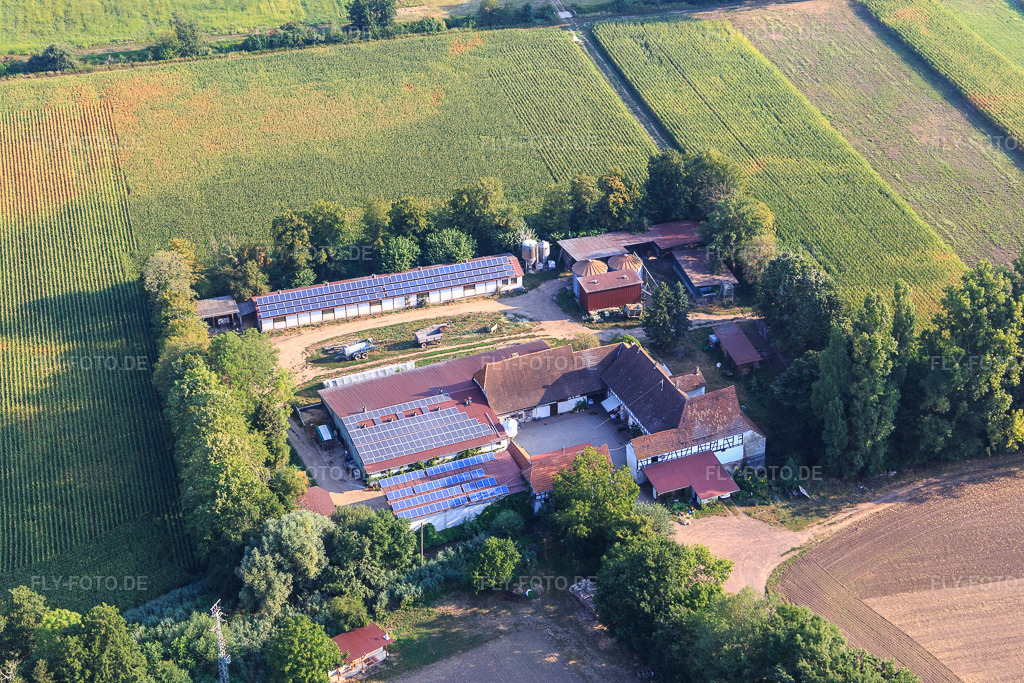 Luftbild: Leistenmühle am Erlenbach in Kandel im Bundesland Rheinland-Pfalz in Deutschland. Foto: IMG_122147.jpg vom 11.08.2020 durch Werner Riehm/FLY-FOTO.de