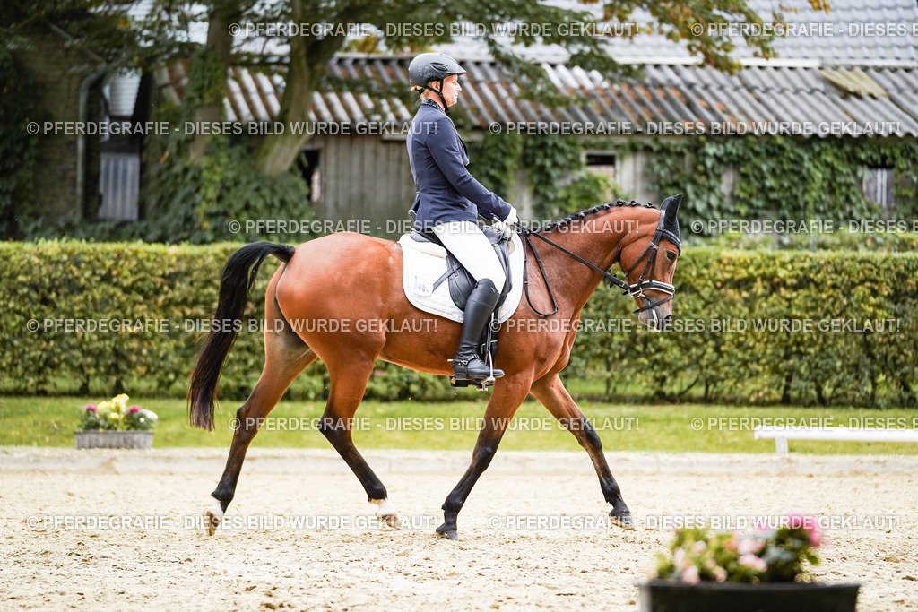 DSC01342 | Pferdegrafie