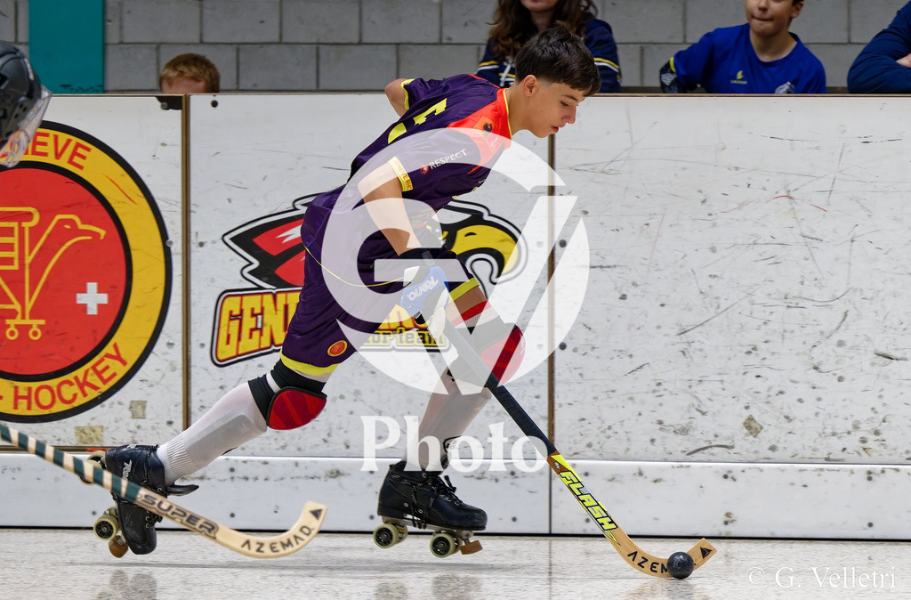 DZ8_2027 | Velletri Photo